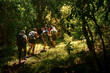 © Larraend Fotografía - Group of tourists hiking on mount meru celebrating international africa day