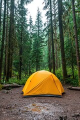 Wall Mural - a solar-powered campsite in the wilderness.