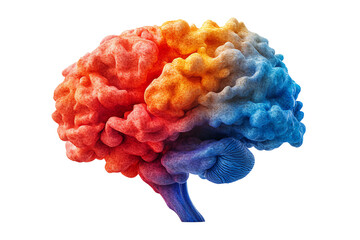 Poster - A vibrant, colorful brain illustration showcasing the intricacies of human thought and creativity against a white isolated background.