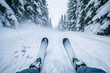 © alfi - Skier's first-person perspective carving through powdery snow on a snowy slope, with pine trees and snow flying