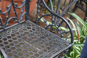 Poster - A metal chair sitting beside a potted plant, great for office or home decor.