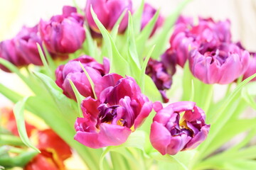 Poster - A bouquet of purple tulips arranged in a decorative vase.