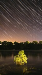 Wall Mural - Star Trails On Night Sky Background. Amazing Starry Effects. Star Lines Move In Sky. Timelapse Night Sky Above River. From Dusk To Dawn. Night Sky Turns Into Morning. Dawn Is Coming. Time Lapse Time