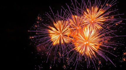 Poster - Fireworks exploding in the night sky during a celebration
