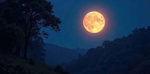 full moon shining brightly above a tranquil forest, glow, night, full moon