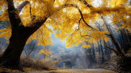 Poster - Golden autumn leaves falling serene forest trail nature photography tranquil environment captured moment