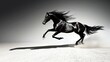 © Masque - A striking silhouette of a galloping black and white horse in motion.