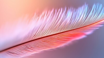 Poster - Delicate pink feather macro shot with soft focus and dreamy lighting creates ethereal mood, showing detailed barbs and rachis structure against blurred background.