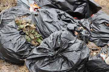 Poster - A pile of trash bags scattered on the pavement, ideal for urban or environmental-themed projects.