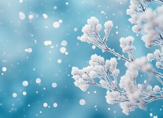 Aufkleber - Hoarfrost covering branches during snowfall in winter wonderland