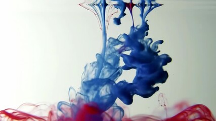 Poster - Ink drops dancing in water. Red and blue liquid color dispersion in slow motion. Abstract fluid art for creative backgrounds, motion graphics and visual effects.