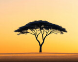 Solitary acacia tree at sunrise