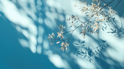 Light blue background with tree branch and shadows.