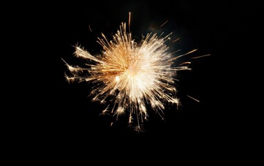 Fototapete - Bright firework explosion against a black background. Golden and orange sparks radiate outwards, creating a dynamic and vibrant image