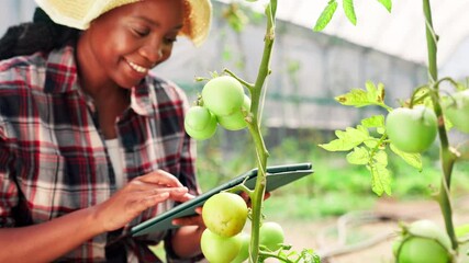 Poster - inspection, farmer and woman with tablet, happy and preparing for harvest with tech or greenhouse. s