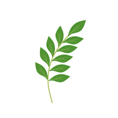 Illustration of a branching green leaf 