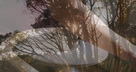 Poster - Holding bowl, hands overlaying forest trees with sunlight animation in background