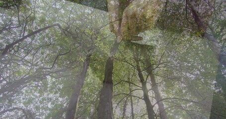 Poster - Touching tree branches, hands exploring nature in lush green forest animation