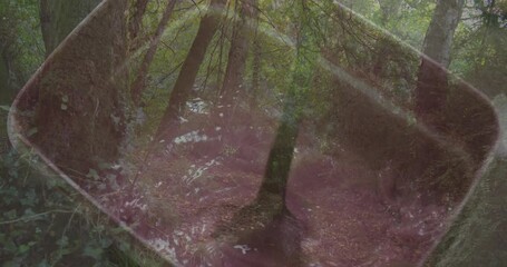 Poster - Sunlight filtering through trees in forest, casting abstract pink and purple patterns