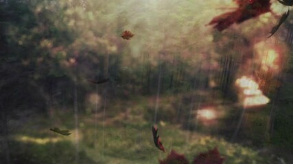 Poster - Autumn leaves falling with animation over forest background in gentle sunlight