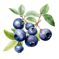 Fototapete - Digital technology blueberry watercolor design illustration