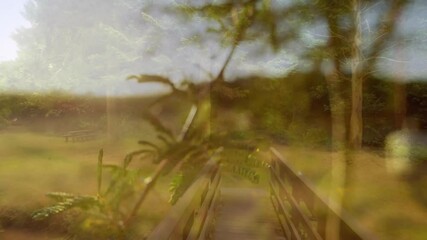 Poster - Wooden bridge in nature with leafy plant in foreground, animation style