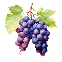 Fototapete - Digital technology grape watercolor design illustration