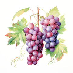 Fototapete - Digital technology grape watercolor design illustration