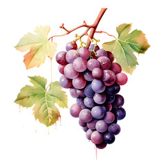 Fototapete - Digital technology grape watercolor design illustration