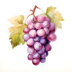 Fototapete - Digital technology grape watercolor design illustration