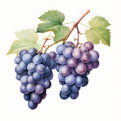 Fototapete - Digital technology grape watercolor design illustration