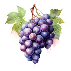Fototapete - Digital technology grape watercolor design illustration