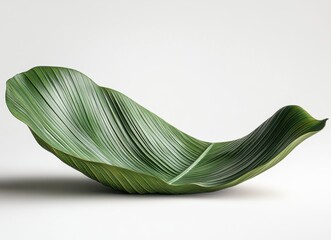 Poster - Elegant Green Leaf Design on White Background Perfect for Nature-Themed Decor, Organic Inspiration, and Modern Interior Aesthetics in Stock Photography