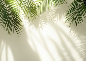 Poster - Lush Green Palm Leaves Casting Intricate Shadows Against a Soft Creamy Background for Peaceful and Calming Ambiance in Lifestyle Photography