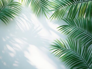 Poster - Lush Green Palm Leaves Casting Soft Shadows on Light Background in Serene Nature Afterglow Atmosphere Ideal for Tropical Themes and Relaxation Spaces