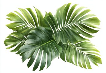 Poster - Lush Green Tropical Leaves Arrangement for Nature, Background, Freshness, and Textural Elements in Modern Interior Decor and Design