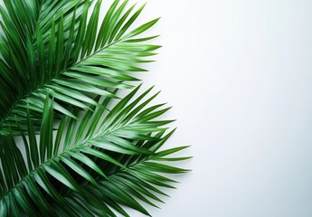 Poster - Lush Green Tropical Leaves on a Minimalist Background for Decorative or Nature-Themed Projects and Designs