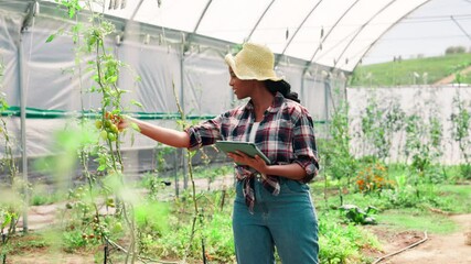 Poster - inspection, farmer and woman with tablet, greenhouse and preparing for harvest with tech or sustaina