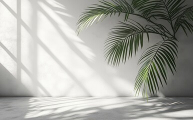 Poster - Sunlit Interior with Green Palm Leaves Casting Shadows on a Plain Wall and Floor, Creating a Calming and Inviting Atmosphere in a Modern Space