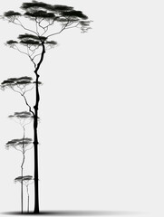Poster - Serene Tree Silhouette: An artistic silhouette of tall tree extends upwards in a minimalist depiction, evoking a sense of calmness.