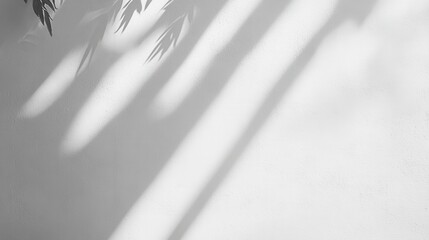 Poster - Abstract Monochrome Wall Texture with Leaf Shadows