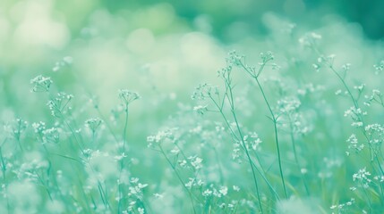 Wall Mural - Soft Blended Background with Calming Landscape Elements