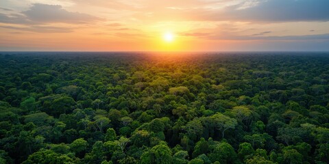 Poster - A breathtaking view of a sunset over a lush green forest, capturing the beauty of nature in vibrant colors.