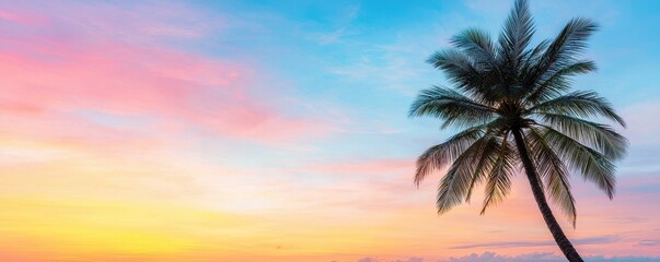Poster - A serene sunset view with vibrant colors and a silhouetted palm tree against a beautiful sky.