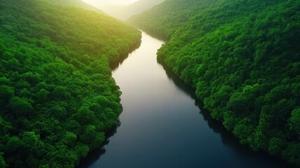 Poster - A serene river winds through lush green hills, reflecting the golden glow of sunlight in a peaceful natural landscape.