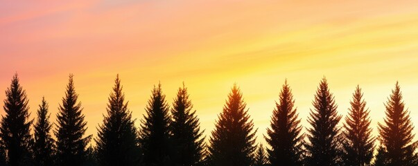 Poster - A tranquil sunset casts a warm glow over a row of silhouetted evergreen trees, creating a serene and picturesque landscape.
