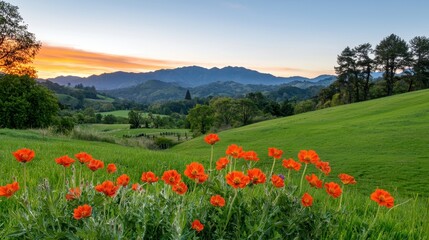 Aufkleber - A serene landscape featuring vibrant orange flowers in the foreground, rolling green hills, and majestic mountains against a colorful sunset.