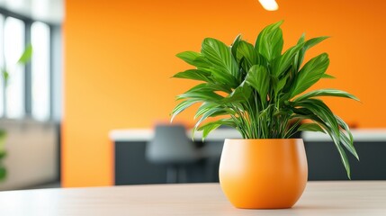 Poster - A vibrant indoor plant in an orange pot, enhancing a modern workspace with a bright orange wall in the background.