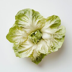 Poster - Fresh crisp iceberg lettuce ready for salads, sandwiches, and healthy meals in spring