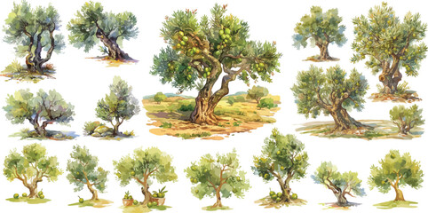 olive tree watercolor clipart